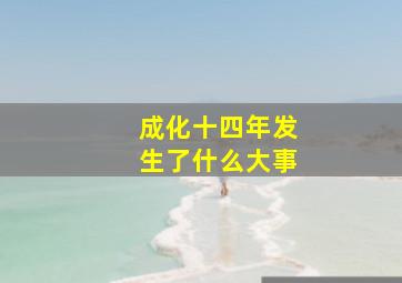 成化十四年发生了什么大事