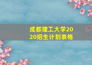 成都理工大学2020招生计划表格