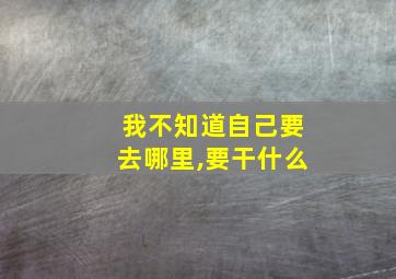 我不知道自己要去哪里,要干什么