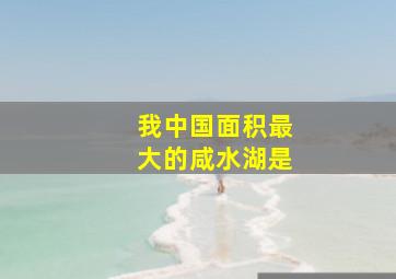 我中国面积最大的咸水湖是