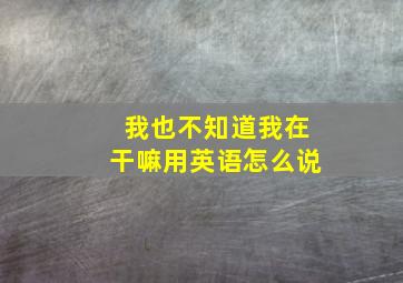 我也不知道我在干嘛用英语怎么说