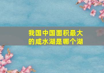 我国中国面积最大的咸水湖是哪个湖