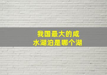 我国最大的咸水湖泊是哪个湖