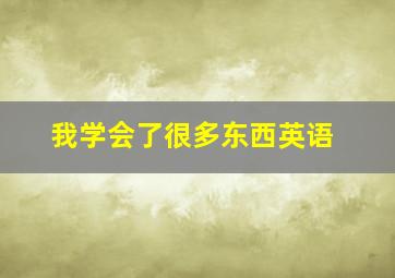 我学会了很多东西英语