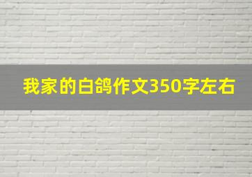 我家的白鸽作文350字左右