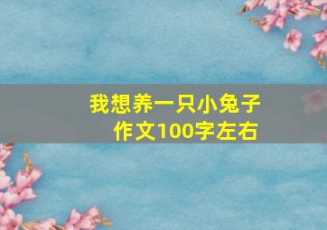 我想养一只小兔子作文100字左右