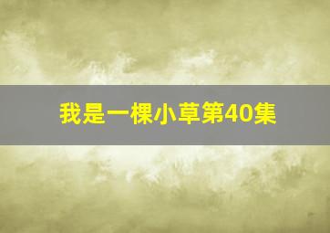 我是一棵小草第40集