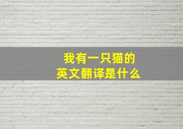 我有一只猫的英文翻译是什么