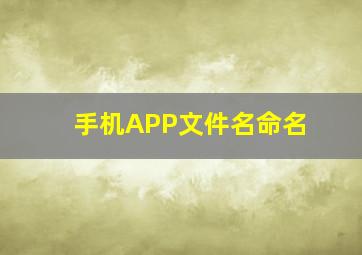 手机APP文件名命名