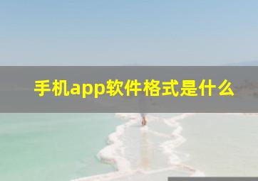 手机app软件格式是什么