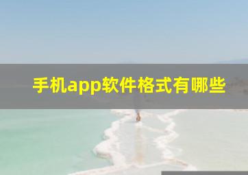 手机app软件格式有哪些