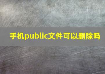 手机public文件可以删除吗