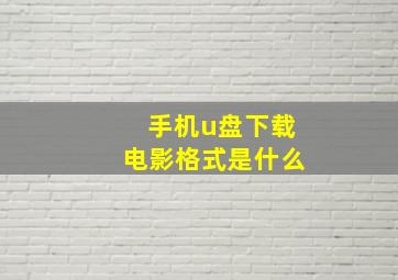 手机u盘下载电影格式是什么