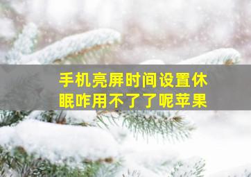 手机亮屏时间设置休眠咋用不了了呢苹果