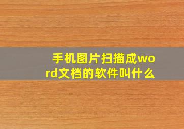 手机图片扫描成word文档的软件叫什么