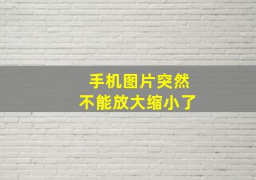 手机图片突然不能放大缩小了