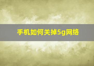 手机如何关掉5g网络