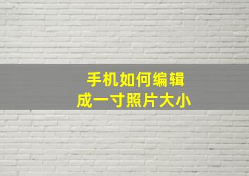 手机如何编辑成一寸照片大小