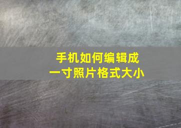 手机如何编辑成一寸照片格式大小