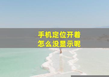 手机定位开着怎么没显示呢