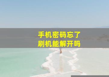 手机密码忘了刷机能解开吗