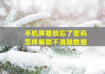 手机屏幕锁忘了密码怎样解锁不清除数据