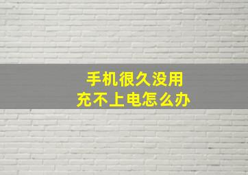 手机很久没用充不上电怎么办