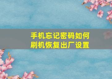 手机忘记密码如何刷机恢复出厂设置