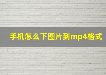 手机怎么下图片到mp4格式