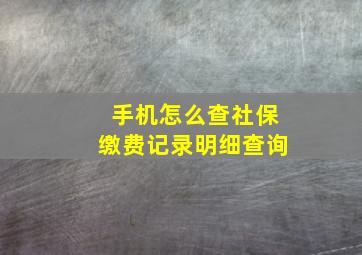 手机怎么查社保缴费记录明细查询