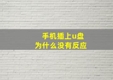 手机插上u盘为什么没有反应