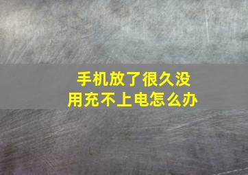 手机放了很久没用充不上电怎么办