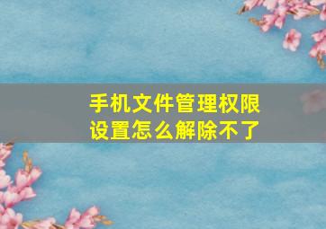 手机文件管理权限设置怎么解除不了