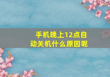 手机晚上12点自动关机什么原因呢