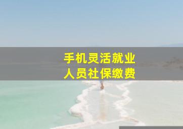 手机灵活就业人员社保缴费