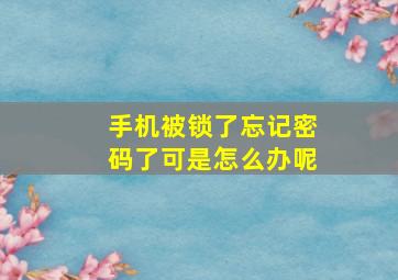 手机被锁了忘记密码了可是怎么办呢