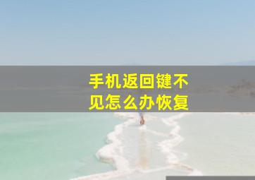 手机返回键不见怎么办恢复