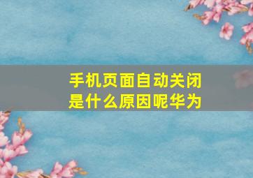 手机页面自动关闭是什么原因呢华为