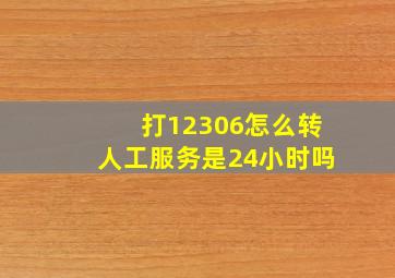 打12306怎么转人工服务是24小时吗