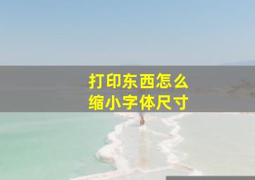 打印东西怎么缩小字体尺寸