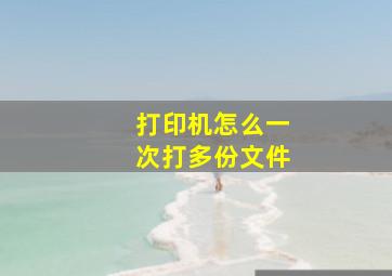 打印机怎么一次打多份文件