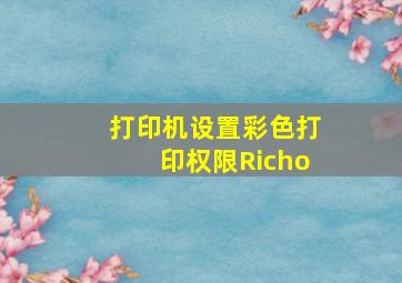 打印机设置彩色打印权限Richo