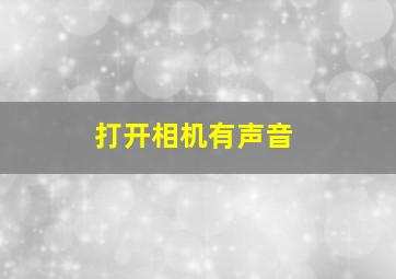 打开相机有声音