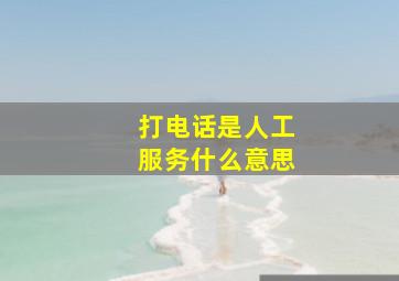 打电话是人工服务什么意思