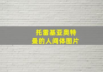 托雷基亚奥特曼的人间体图片