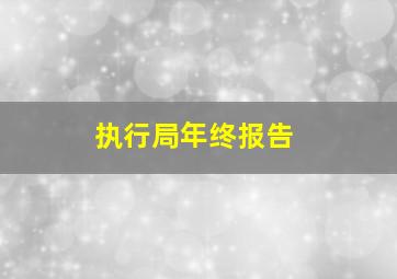 执行局年终报告