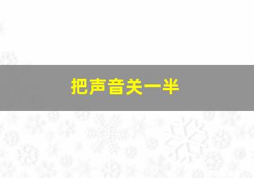 把声音关一半