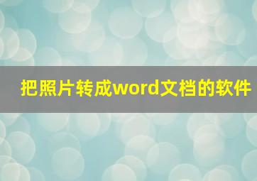 把照片转成word文档的软件