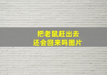 把老鼠赶出去还会回来吗图片