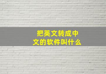 把英文转成中文的软件叫什么